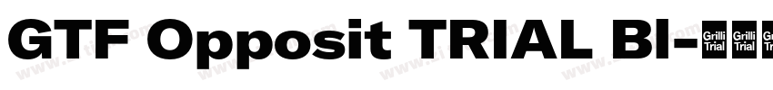 GTF Opposit TRIAL Bl字体转换